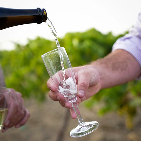 Vino Espumoso Brut Garrido Fino 2023 Ecológico