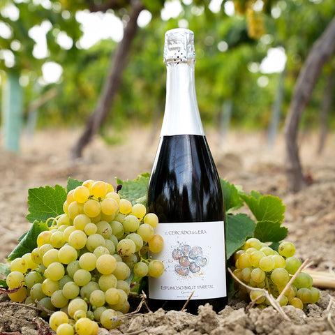 Vino Espumoso Brut Garrido Fino 2023 Ecológico