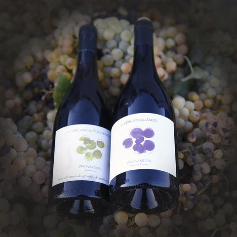 Vinos Ecológicos