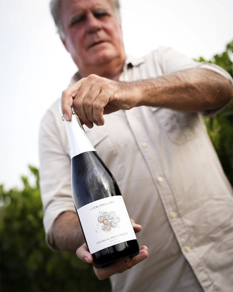 Nuevo Vino